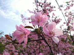 -白马涧龙池景区