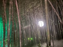 -杭州黄龙洞