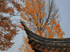-盘门景区