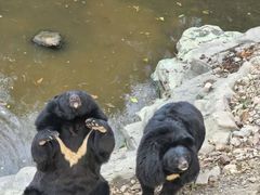 -大连森林动物园