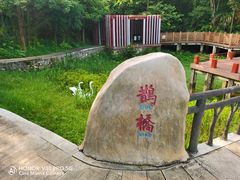 -神光山国家森林公园