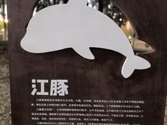 -扬子江公园