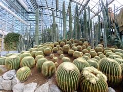 -南山植物园