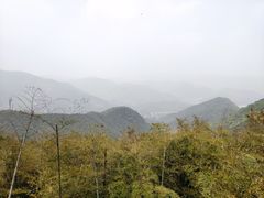 -莫干山风景区