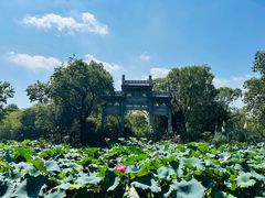 -西溪国家湿地公园