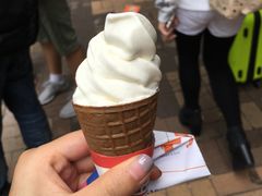 -富豪雪糕车流动点(尖沙咀店)