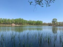 -东郊湿地公园