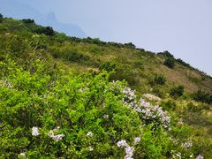 -妙峰山风景名胜区