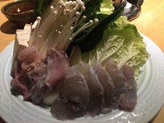 -鲤·鮨KOISUSHI