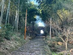 -仙霞关景区