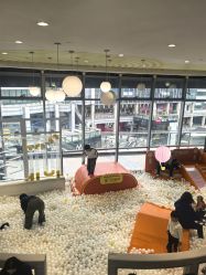-反弹蹦床公园·运动乐园·团建·亲子派对(深圳观澜湖店)