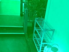 -九田家黑牛烤肉料理(衡百国际店)