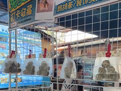 -蓝湾碧波·老字号·疍家非遗海上餐厅