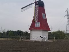 -菊园百果园