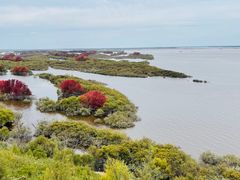 -茅兰沟国家森林公园