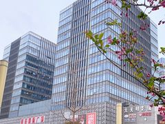 -莲花国际广场