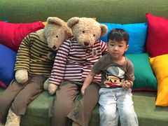 -济州岛泰迪熊博物馆