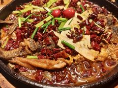-老板恋上鱼(高新万达店)