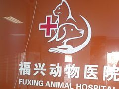 -瑞派福兴宠物医院犬猫全科·骨科·中西医结合(河东店)