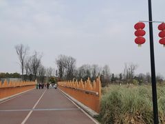 -桂溪生态公园