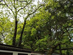 -海煮叹鲜·粥底火锅·港式海鲜打边炉(赛银国际广场店)