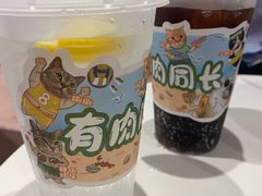 -猫儿山۰猫主题餐厅