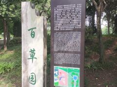-洛阳市隋唐城遗址植物园