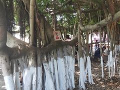 -胡里山炮台