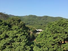 -大屏嶂森林公园