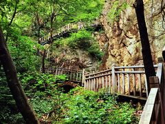 -大连天门山国家森林公园