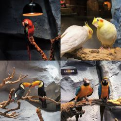 -Zoolung Zoolung动物主题公园(海信广场店)