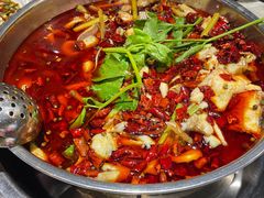 -蛙蛙鸡冷锅鱼(驷马桥店)