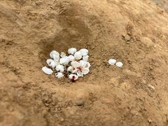 -辛庄国际文化艺术区