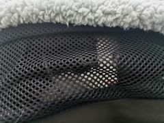 -柏萃动物医院·骨科·牙科