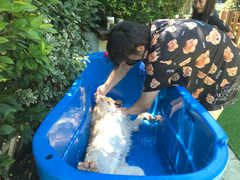 -汪说喵讲宠物乐园宠物酒店(红星美凯龙店)