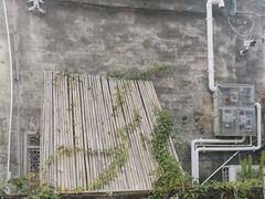 -三溪村