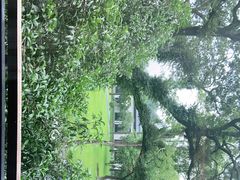 -杭州西湖柳莺里酒店·闻莺厅