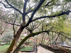 -宁波市保国寺古建筑博物馆