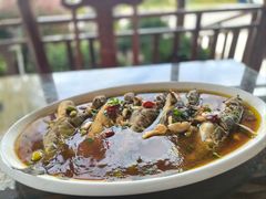 -呼吸森林·生态农庄农家乐私房菜