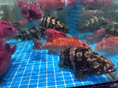 -文涵小院·邻里厨房