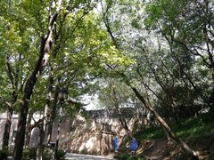 -峙山公园