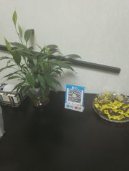-onE Nice造型
