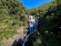 -海南热带雨林国家公园吊罗山景区