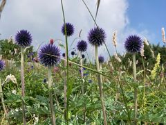 -白草畔自然风景区