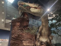 -湖南省地质博物馆