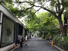 -凤凰御元艺术基地