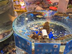 -乔家小院•非遗驴肉•本地小海鲜(滨河路店)