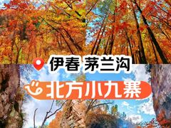 -茅兰沟国家森林公园