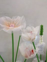 -轻辰医美