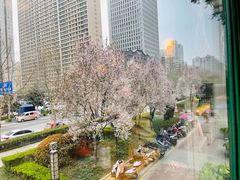 -越美小馆·越南料理(曲江店)
